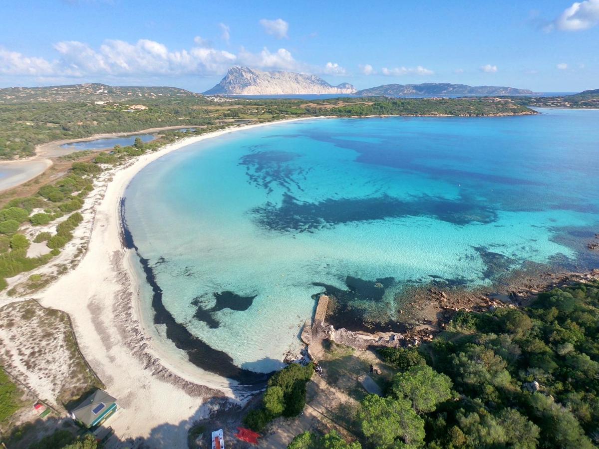 Iss Travel, Gli Asfodeli - Large Apartments With Private Terrace San Teodoro  Eksteriør bilde