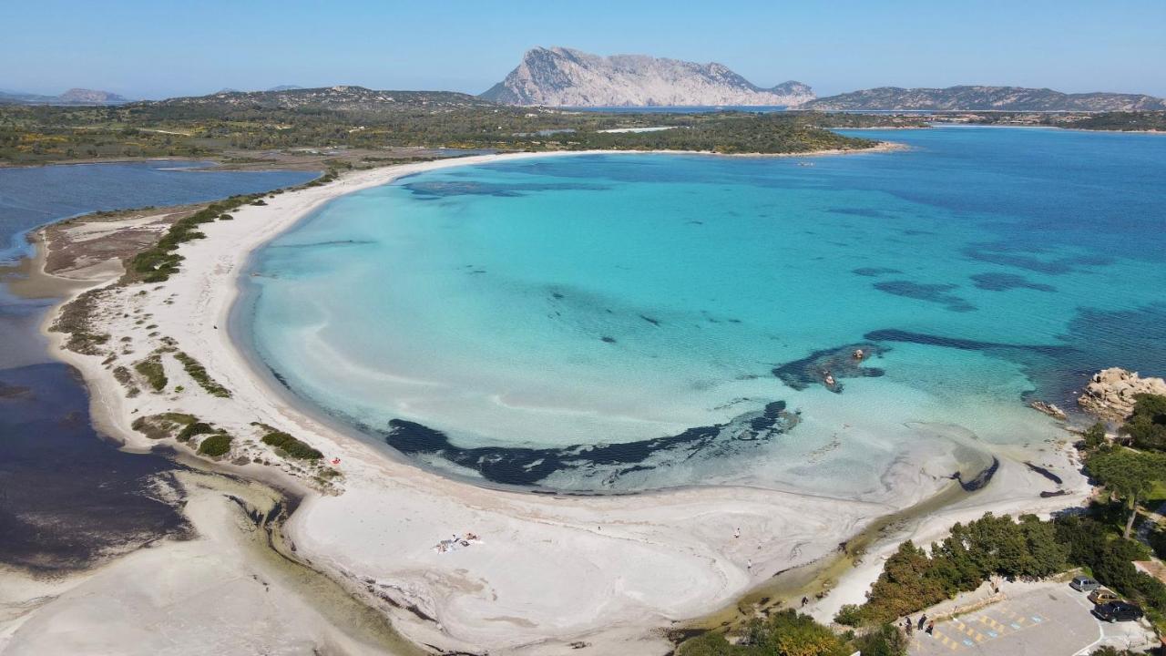 Iss Travel, Gli Asfodeli - Large Apartments With Private Terrace San Teodoro  Eksteriør bilde