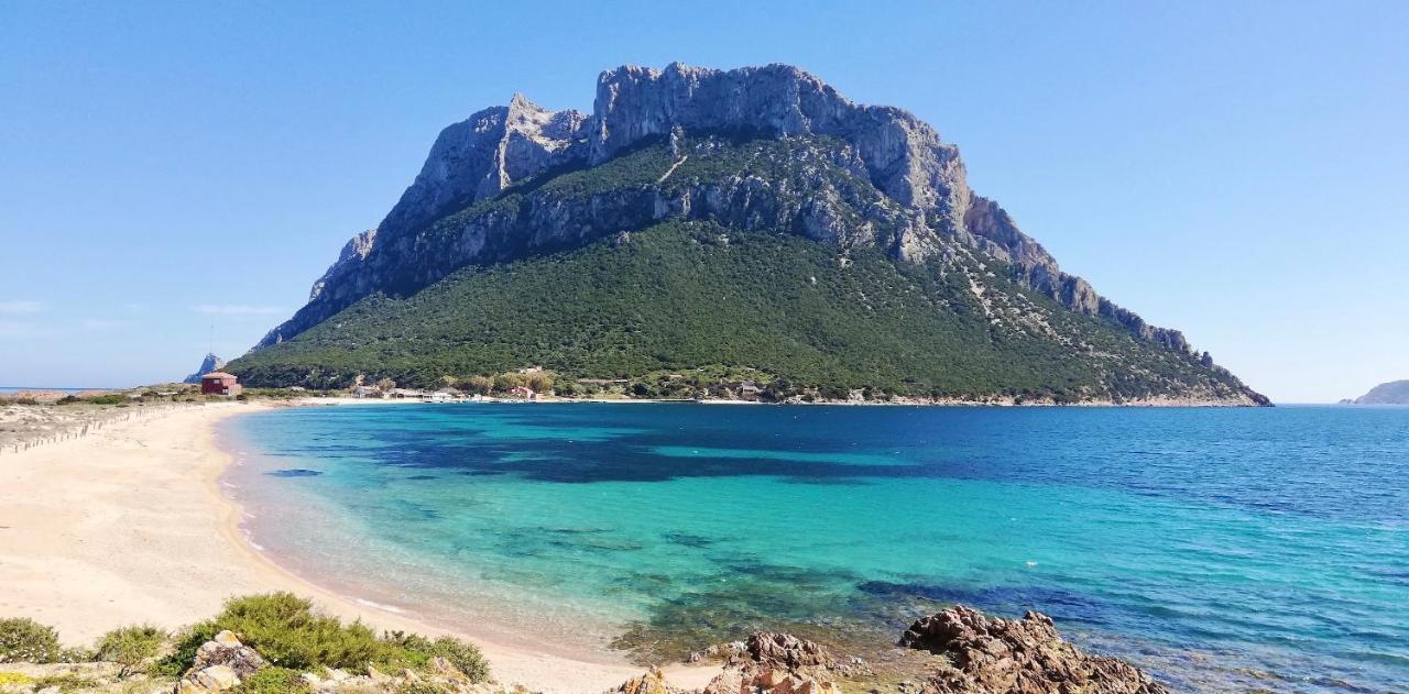 Iss Travel, Gli Asfodeli - Large Apartments With Private Terrace San Teodoro  Eksteriør bilde