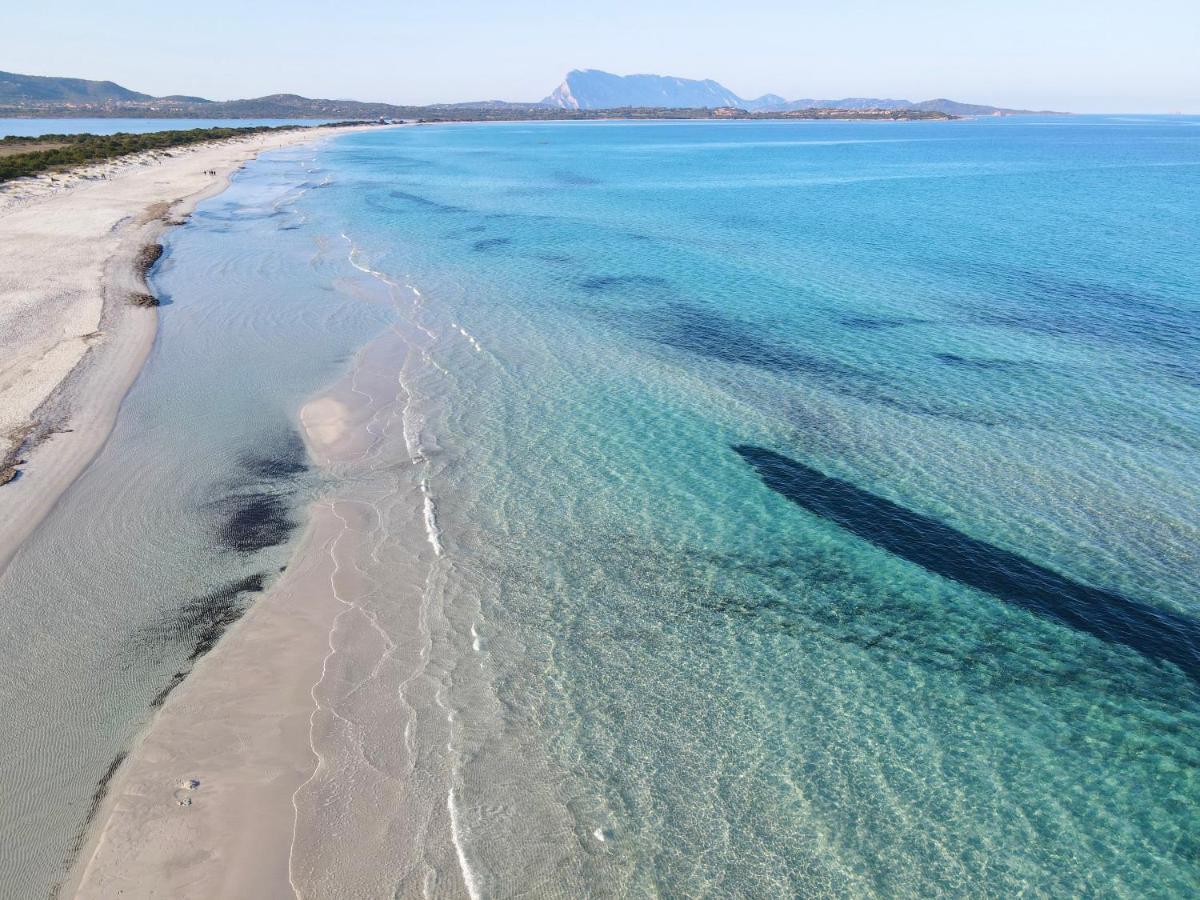 Iss Travel, Gli Asfodeli - Large Apartments With Private Terrace San Teodoro  Eksteriør bilde